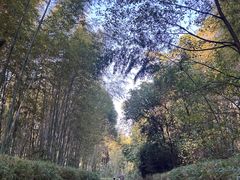 -天目湖涵田半山温泉