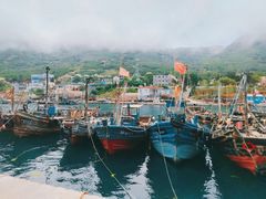 -灵山岛风景区
