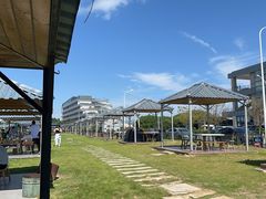 -春花秋色城市公园