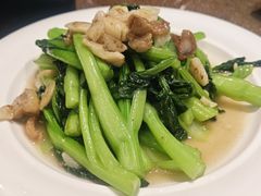 -老广酒楼(樱花店)