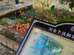 -深业半汤御泉庄温泉