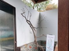 -几荷·恰似故人来(秀水广场店)