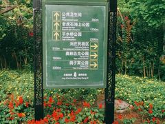 -北戴河东海水浴场