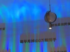 -烹然四季椰子鸡火锅(姚家园万象汇店)