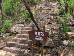 -金龙寺国家森林公园
