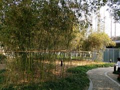 -泰州凤城河风景区-泰山公园