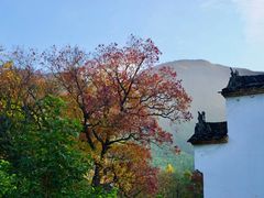 -塔川景区