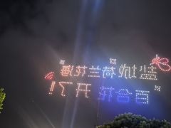 -荷兰花海
