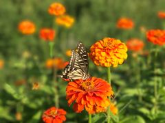 -陕西省红河谷森林公园