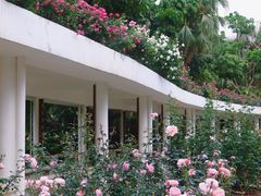 -人民公园(罗湖区)