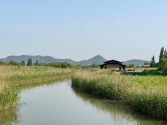 -良渚文化村