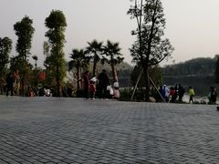 -枫香湖儿童公园