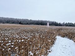 -帽儿山国家森林公园