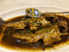 -普陀山祥生大酒店