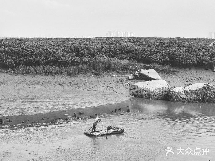 洛阳桥图片