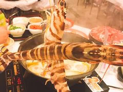 -鲜入围煮花胶鸡海鲜火锅