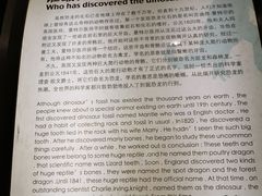 -诸城市恐龙博物馆