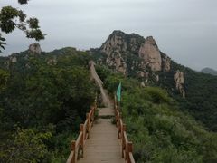 -大岭沟猕猴桃谷风景区
