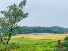 -象山森林公园