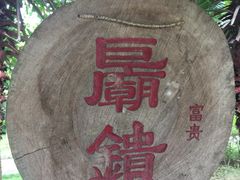 -明仕田园