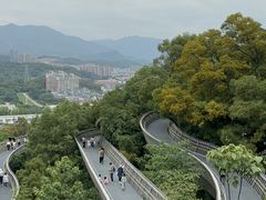 -福道