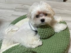 -美联众合24小时·皮肤科·外科·全科诊疗中心(华苑分院)