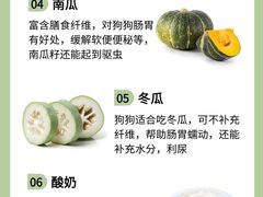 -美联众合动物医院·24h转诊中心