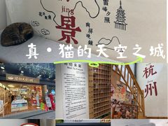 -猫的天空之城概念书店(杭州南宋御街店)