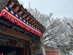 -塔尔寺