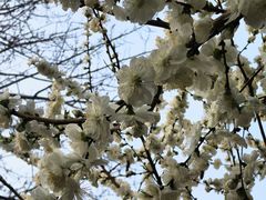 -龙湖星悦荟(颐和店)