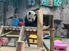 -栾川竹海野生动物园