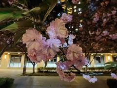 -仁恒西郊花园
