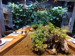 -森味薪火烧•烧鸟居酒屋•日本料理(望京店)