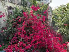 -乐山大佛风景名胜区乌尤寺南门-售票点