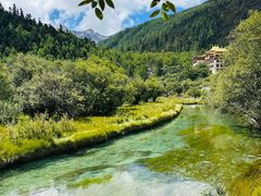 -稻城亚丁景区-冲古草甸