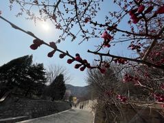 -北京鹫峰国家森林公园