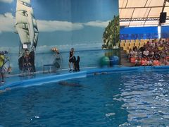 -尼莫海豚馆