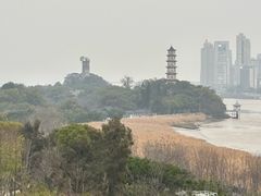 -江心屿景区