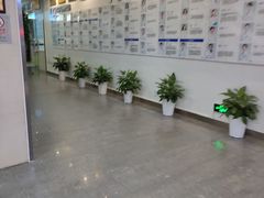 -武汉大学附属爱尔眼科医院(湖北总院)