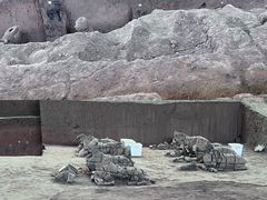 -秦始皇帝陵博物院(兵马俑)