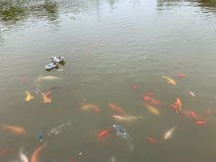 -嬉乐湾休闲旅游区