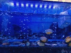 -鲜味食族水产·海鲜餐厅