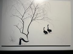 -罗红摄影艺术馆