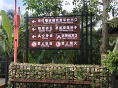 -呀诺达热带雨林