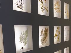 -予厘·推拿按摩·精油SPA(憩舍长安店)
