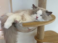 -江南大学(蠡湖校区)