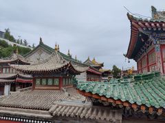 -塔尔寺-菩提树