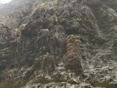 -野三坡百里峡景区