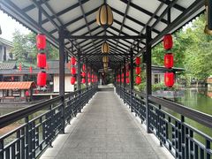 -侨美·唐荔园·40年地道粤菜