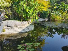 -云溪植物园